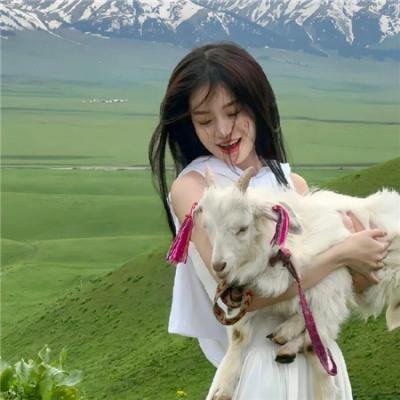 山炮驾到2之灵魂转移